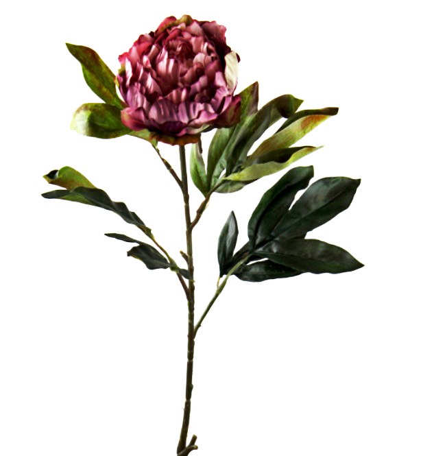 Picture of Artificial Peony Flower Dark Pink/ Burgundy Long Stem